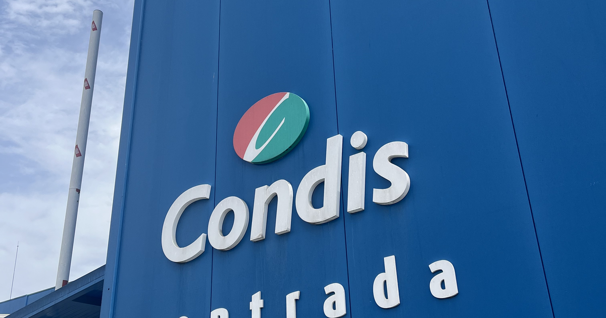 Agentic AI training for the Condis team: Claude Code and Cowork. - Pleasepoint